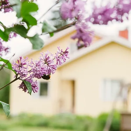 Taidefarmi Aijasaho Art Farm Finland Apartamento *